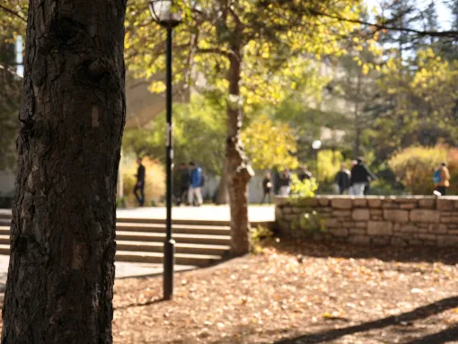 College Campus